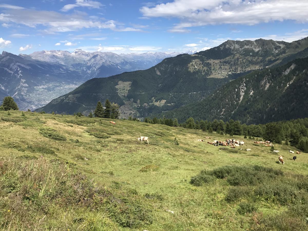 Chalet Clochette 4 Valles-Verbier La Tzoumaz Buitenkant foto
